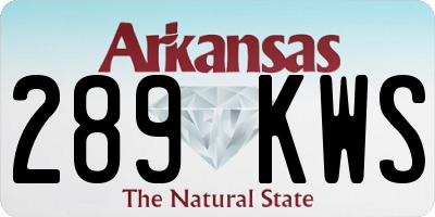 AR license plate 289KWS