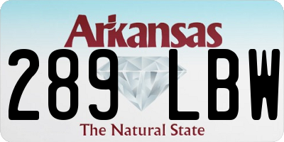 AR license plate 289LBW