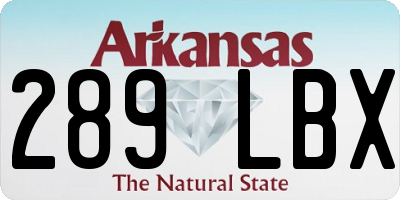 AR license plate 289LBX