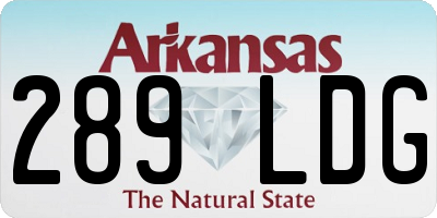 AR license plate 289LDG