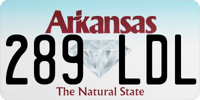 AR license plate 289LDL