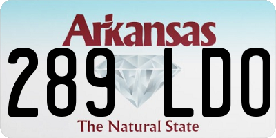 AR license plate 289LDO