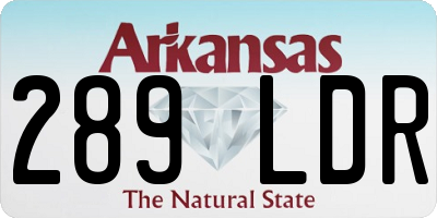 AR license plate 289LDR