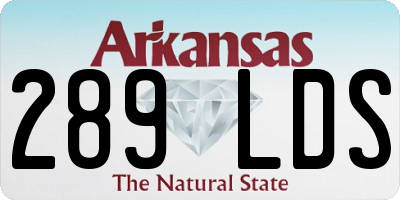 AR license plate 289LDS