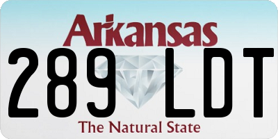 AR license plate 289LDT