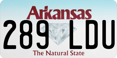 AR license plate 289LDU