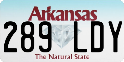 AR license plate 289LDY
