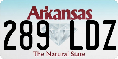 AR license plate 289LDZ