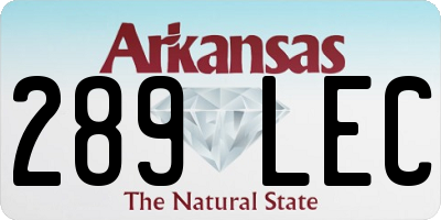 AR license plate 289LEC