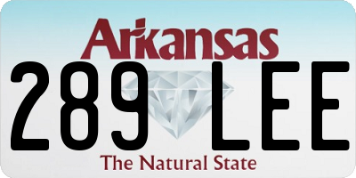 AR license plate 289LEE