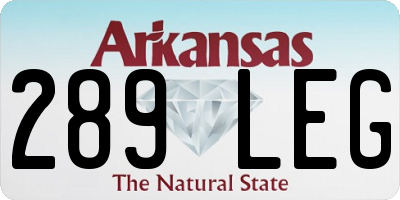 AR license plate 289LEG