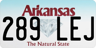 AR license plate 289LEJ