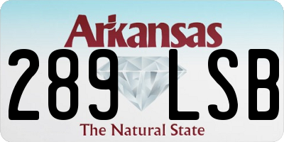 AR license plate 289LSB