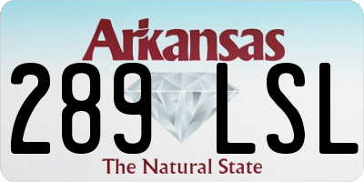 AR license plate 289LSL