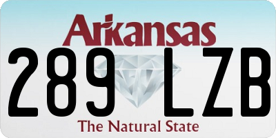 AR license plate 289LZB
