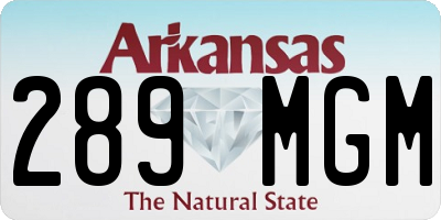 AR license plate 289MGM
