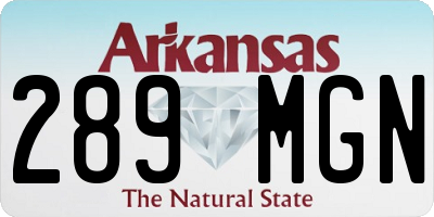 AR license plate 289MGN