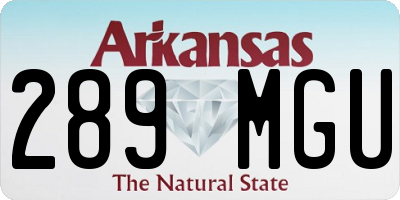 AR license plate 289MGU