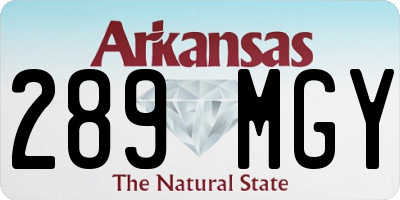 AR license plate 289MGY