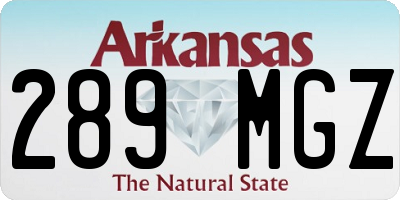 AR license plate 289MGZ