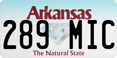 AR license plate 289MIC