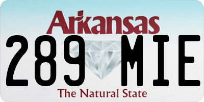 AR license plate 289MIE