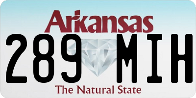 AR license plate 289MIH