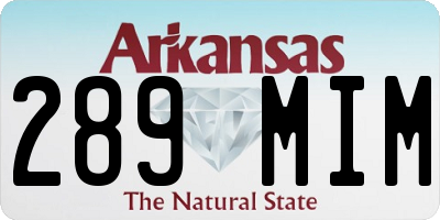 AR license plate 289MIM
