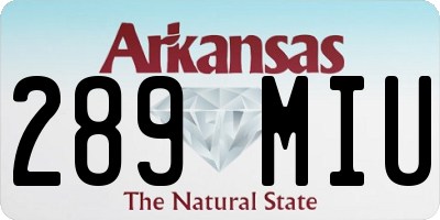 AR license plate 289MIU