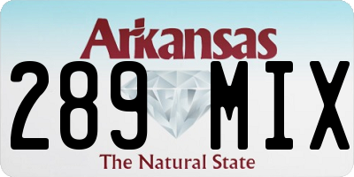 AR license plate 289MIX