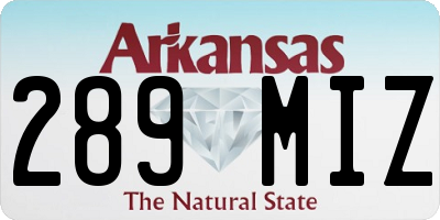 AR license plate 289MIZ