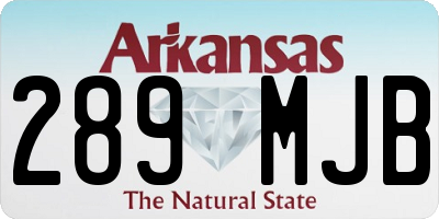 AR license plate 289MJB