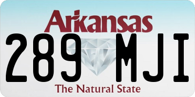 AR license plate 289MJI
