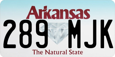 AR license plate 289MJK