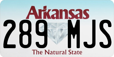 AR license plate 289MJS