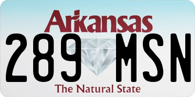 AR license plate 289MSN