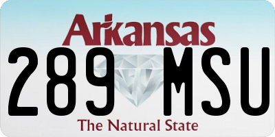 AR license plate 289MSU