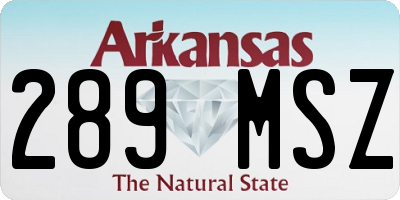 AR license plate 289MSZ