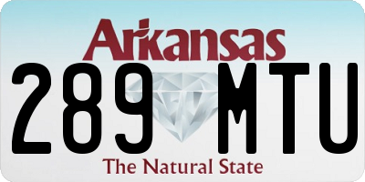 AR license plate 289MTU