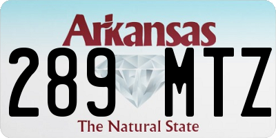 AR license plate 289MTZ