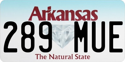 AR license plate 289MUE