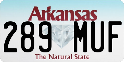 AR license plate 289MUF