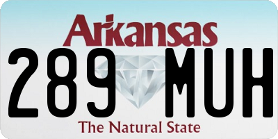 AR license plate 289MUH