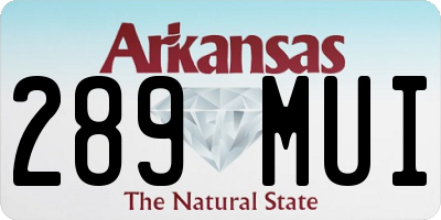 AR license plate 289MUI