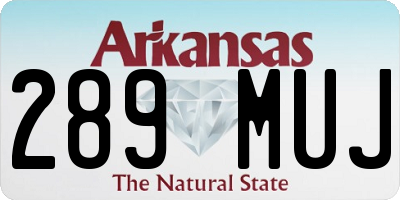 AR license plate 289MUJ