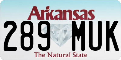 AR license plate 289MUK