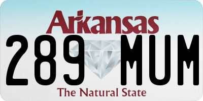 AR license plate 289MUM