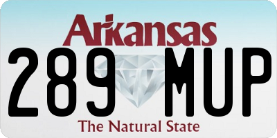 AR license plate 289MUP