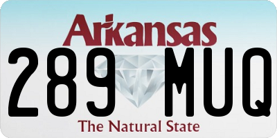 AR license plate 289MUQ