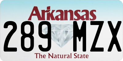 AR license plate 289MZX